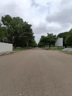 Plot/ Land in Devanahalli Bangalore