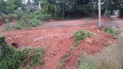 Plot/ Land in Bantwal Mangalore