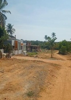 Plot/ Land in Kodikal Mangalore