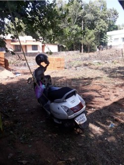 Plot/ Land in Kotekar Mangalore