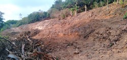 Plot/ Land in Pumpwell Mangalore