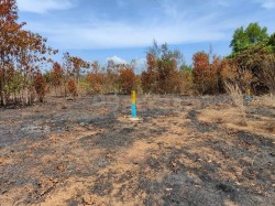 Plot/ Land in Kinnigoli Mangalore
