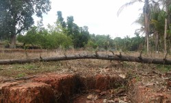 Plot/ Land in Moodabidiri Mangalore