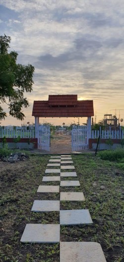 Plot/ Land in Vanukuru Vijayawada