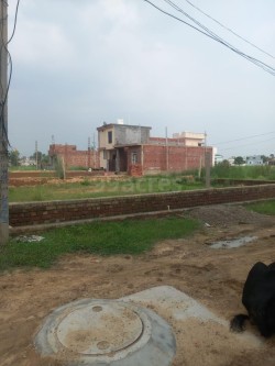 Plot/ Land in Ambala Cantt Ambala