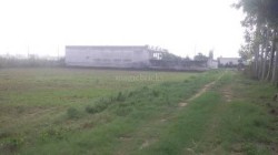 Plot/ Land in Defence Colony Ambala