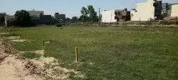 Plot/ Land in Kurali Mohali