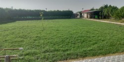 सेक्टर 150 नोएडा  मे प्लाट / जमीन
