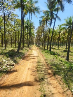 Plot/ Land in Malur Bangalore