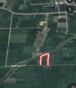 Plot/ Land in Kalesar Gorakhpur