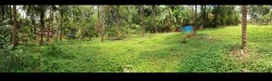 Plot/ Land in Kalladka Bantwal