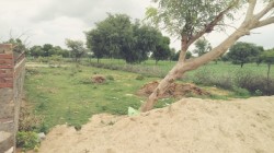 Plot/ Land in Ajmer Road Jaipur