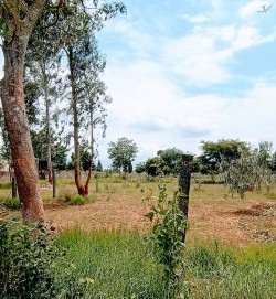 Plot/ Land in Devanahalli Bangalore