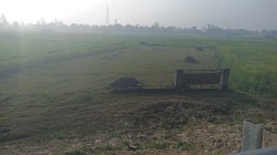 Plot/ Land in Kalesar Gorakhpur