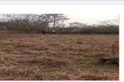 Plot/ Land in Waksai Lonavala