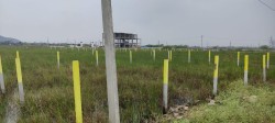 Plot/ Land in Mudichur Chennai