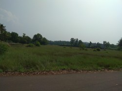 Plot/ Land in Mukka Mangalore