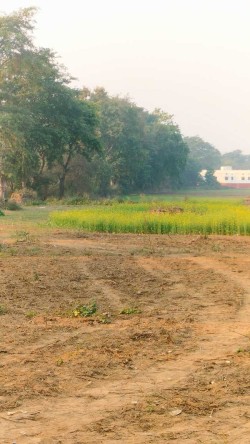 Plot/ Land in Hata Kushinagar