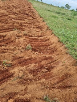 Plot/ Land in Alair Hyderabad