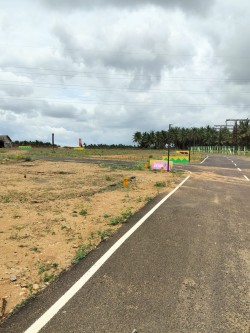 Plot/ Land in Kinathukadavu Coimbatore