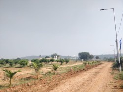 Plot/ Land in Narsapur Hyderabad