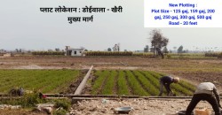 Plot/ Land in Doiwala Dehradun
