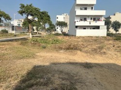 Plot/ Land in Sector 3 Rohtak