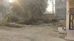 Plot/ Land in Faizabad Road Lucknow