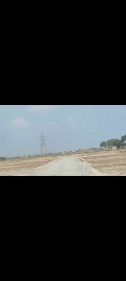 The Royal City