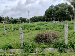 Yesh farms phase2