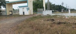 Divine Homes mastya