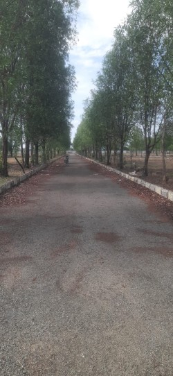 Sree meadows