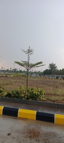 Plot/ Land in Maheshwaram Hyderabad