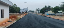 KNS SANDALWOOD GARDEN