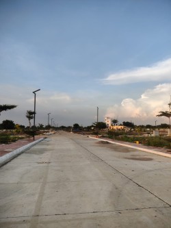 Avani