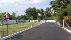 Narasimman Nagar