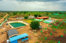 Plot/ Land in Narayankhed Hyderabad