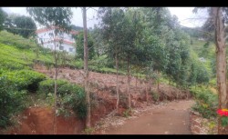 Selas valley