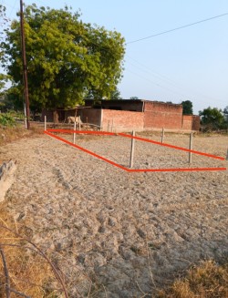 Miranpur Pinwat