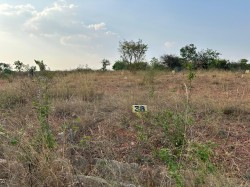 Plot/ Land in Sidlaghatta Bangalore