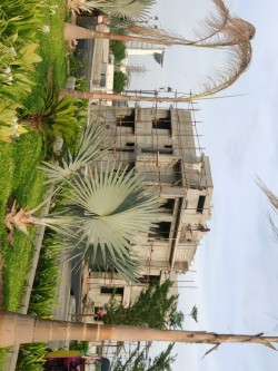 Madras city