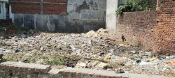 Adarsh Nagar
