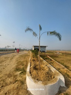 Reva residency