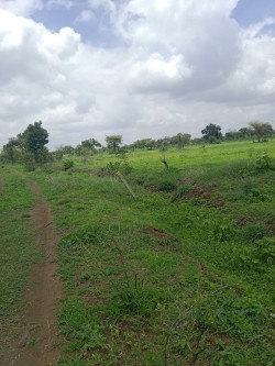 Plot/ Land in Vikarabad Hyderabad