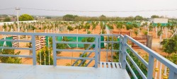 Green City