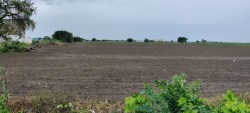 Plot/ Land in Adoni Kurnool