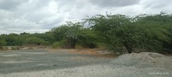 Plot/ Land in Hiriyur Chitradurga