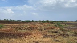 Plot/ Land in Rajula Amreli District