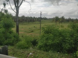 RT Nagar Post