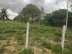 Hebbal - Post